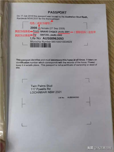马也有护照？中国、日本的最好辨认，法国居然这么写！