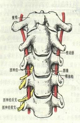 颈椎腰椎疾病ct及mri诊断,腰椎ct可以发现肠部病变吗