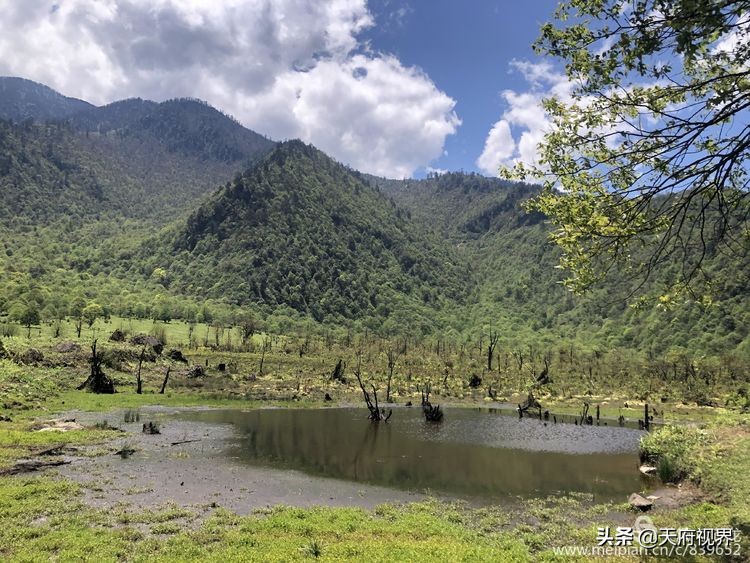 中国百慕大黑竹沟了解一下,穿越黑竹沟揭秘中国百慕大