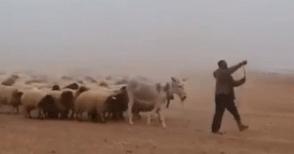 震撼心灵的星空酒店，只在青海