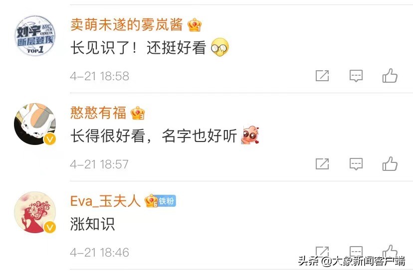 中国的珍稀植物,史上最稀有的十大植物