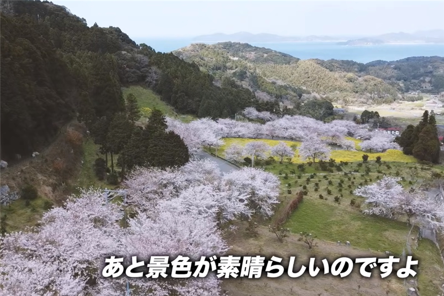 日本男子买江户时代深山老宅，带妻女住进89㎡的家，过起田园生活