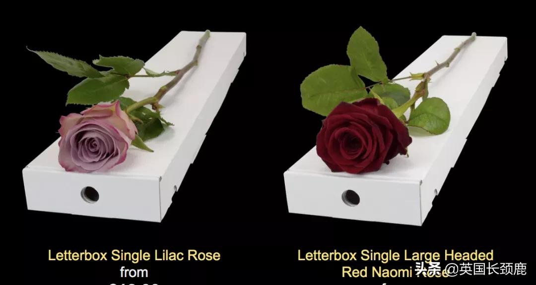 情人节来了怎么少的了fafa?英国鲜花速递服务大盘点:浪漫满分