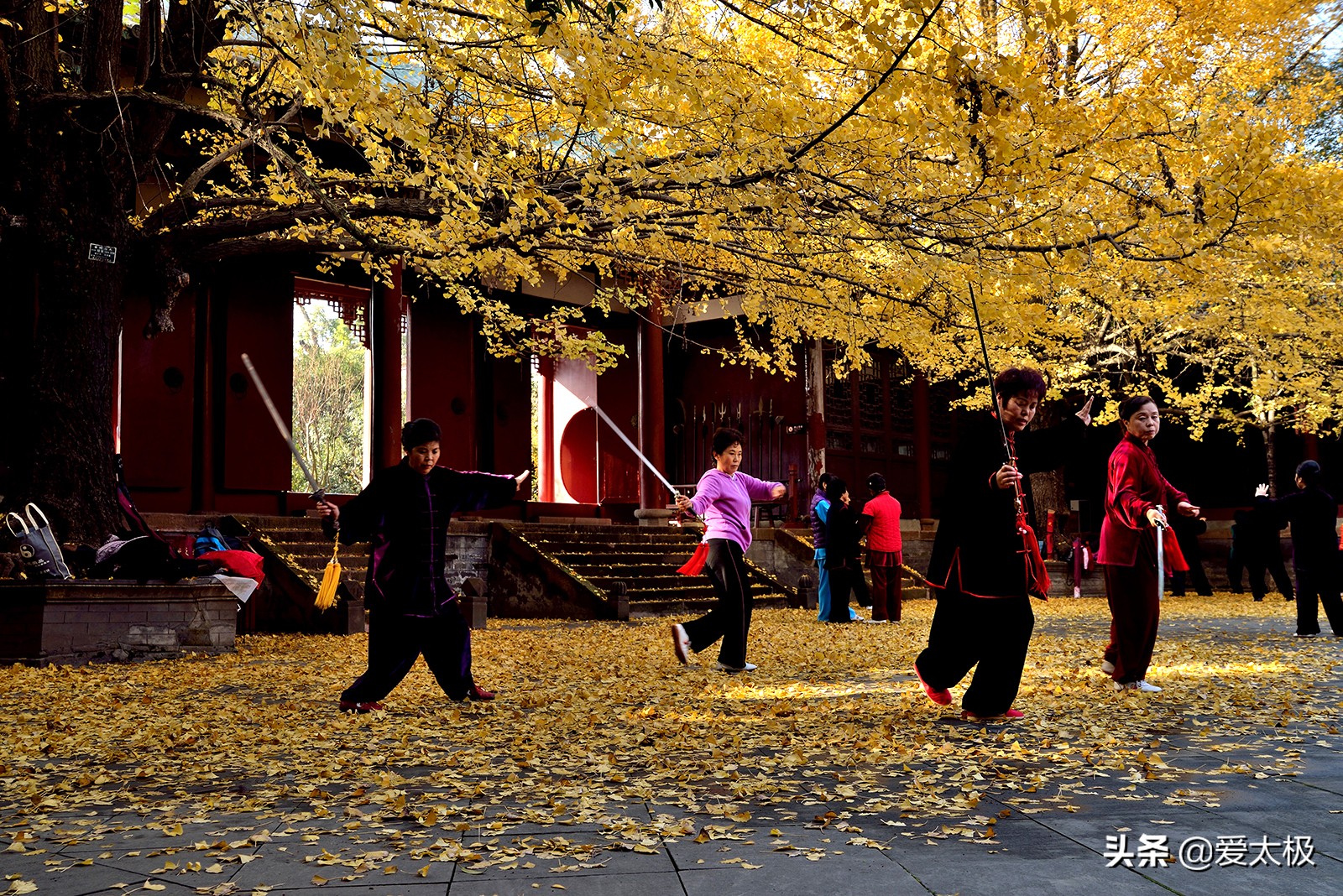 太极养生的三道风景，自我修复的材料