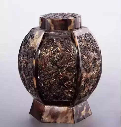 玳瑁海底软黄金,黄金玳瑁