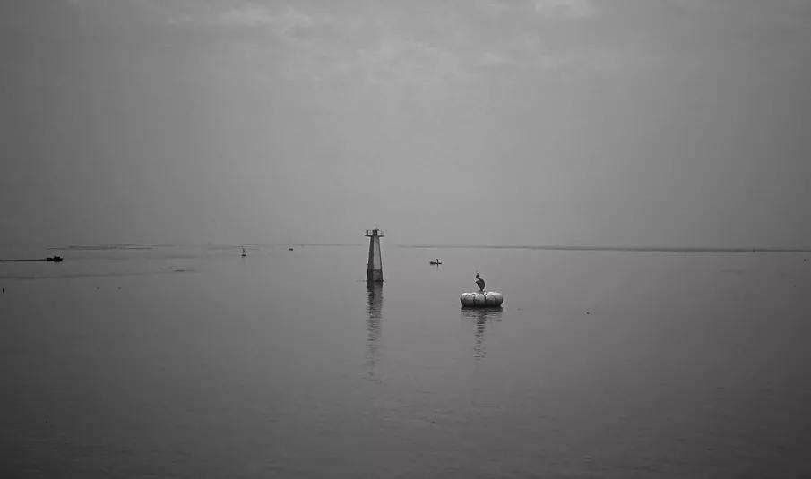 渡人渡心渡自己下联是什么,渡人渡心渡自己歌曲