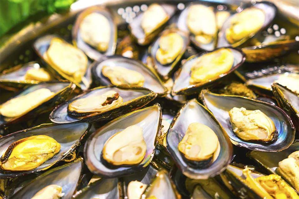 清远宝晶宫天鹅湖温泉酒店,清远顶级豪华酒店