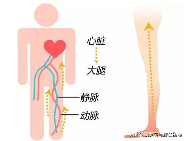 吴宣仪的腿为什么那么直那么细,吴宣仪这腿是练出来的吗