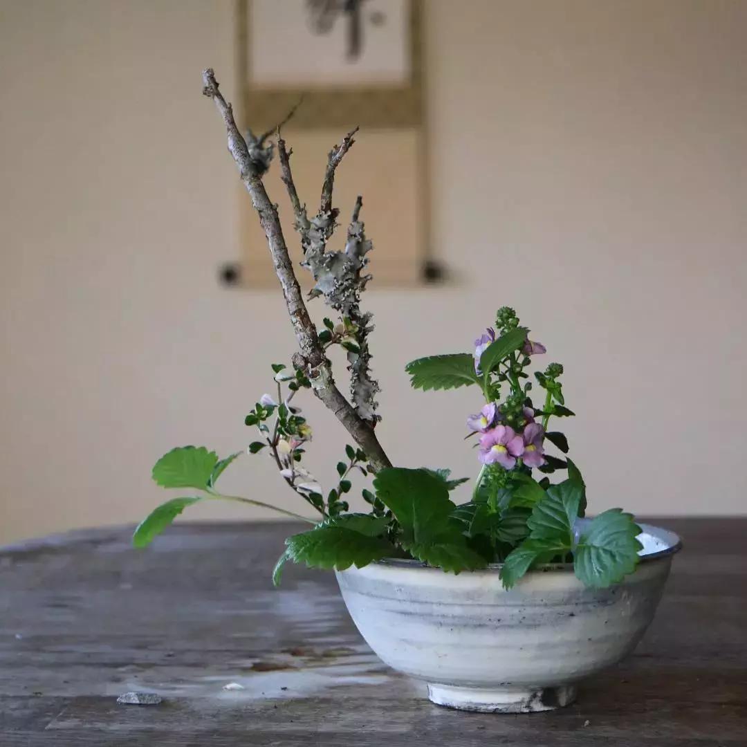 创意禅意插花月季盘花,禅意插花100例兰花