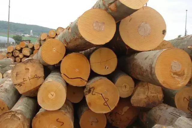 玩木头推荐木材,玩木头的十大好处