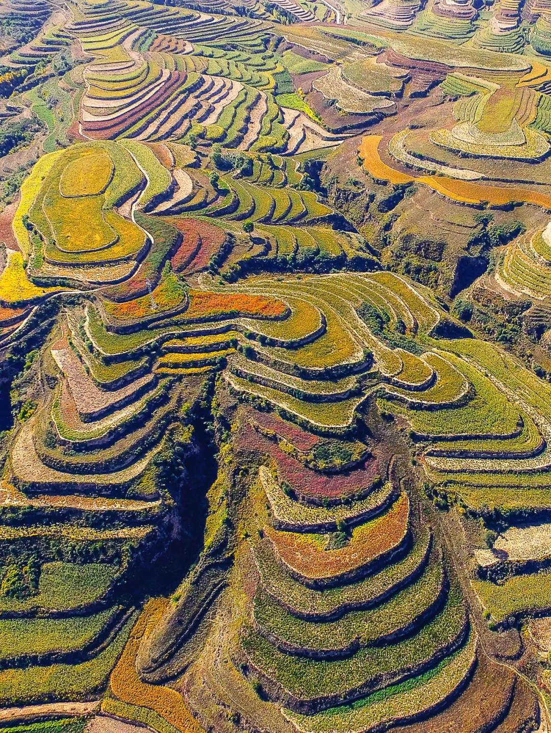 吕梁很富吗,山西吕梁是怎样的城市