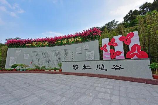 深圳花海公园推荐景点有哪些,深圳花海公园地址在哪里