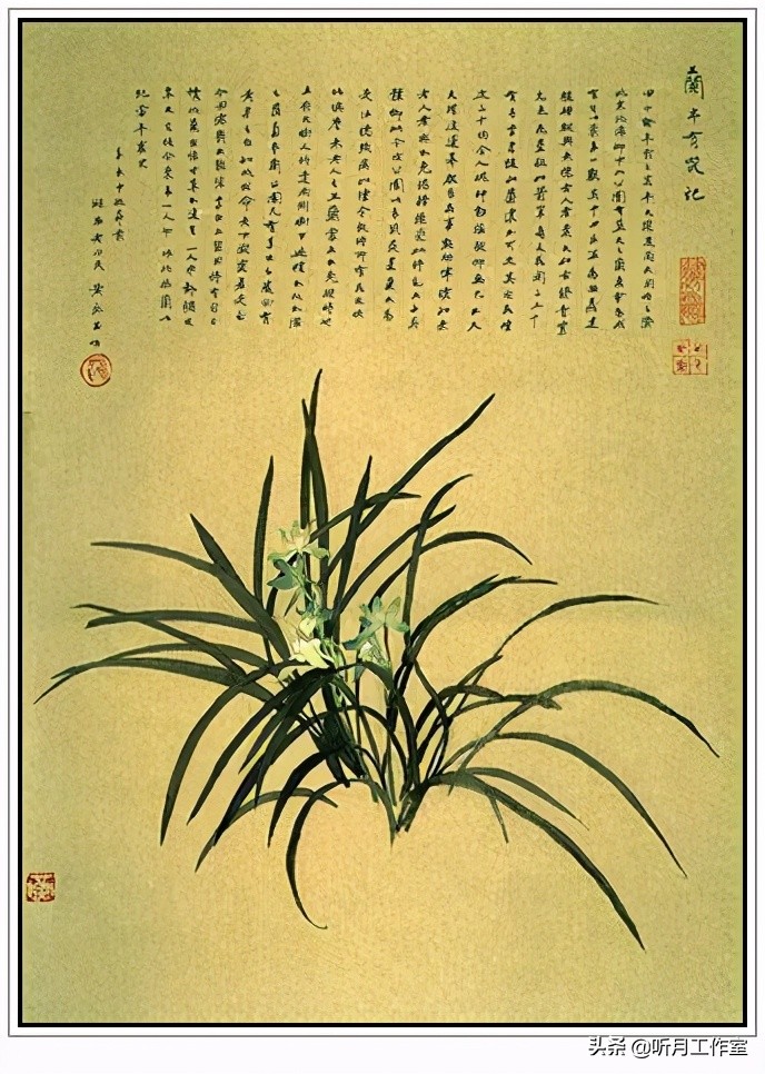 国画大师黄永玉荷花作品欣赏,国画前十名大师级画家作品