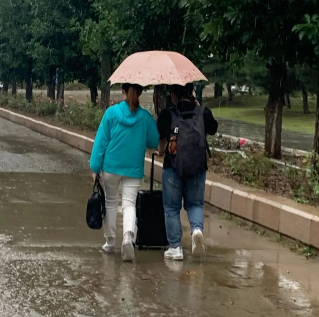 绿岛“背影”|这些瞬间，因为有你而更温暖难忘！