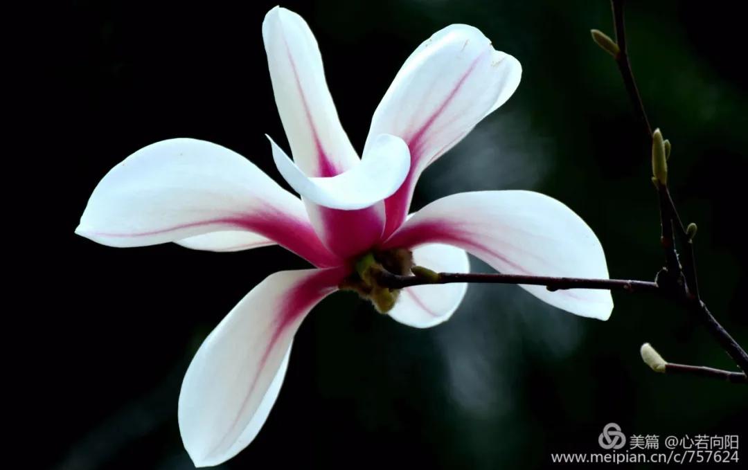 春水初生林初盛春,春水初生林初盛