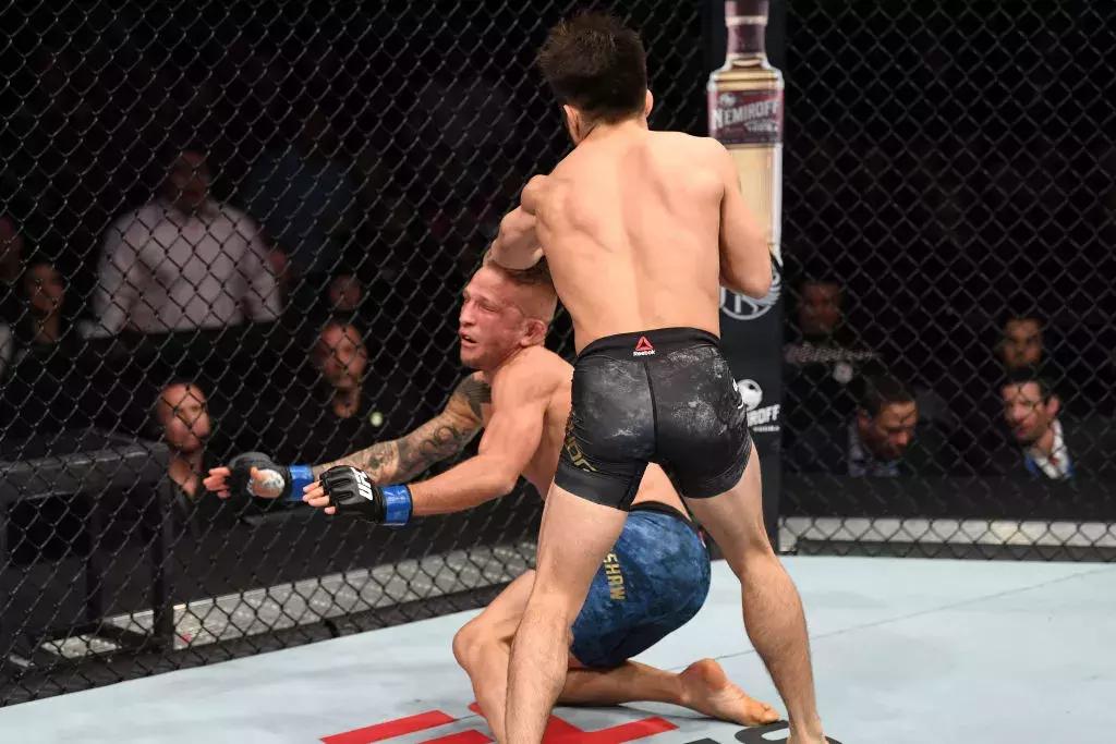 蝇量级比赛视频集锦,蝇量级最好比赛视频