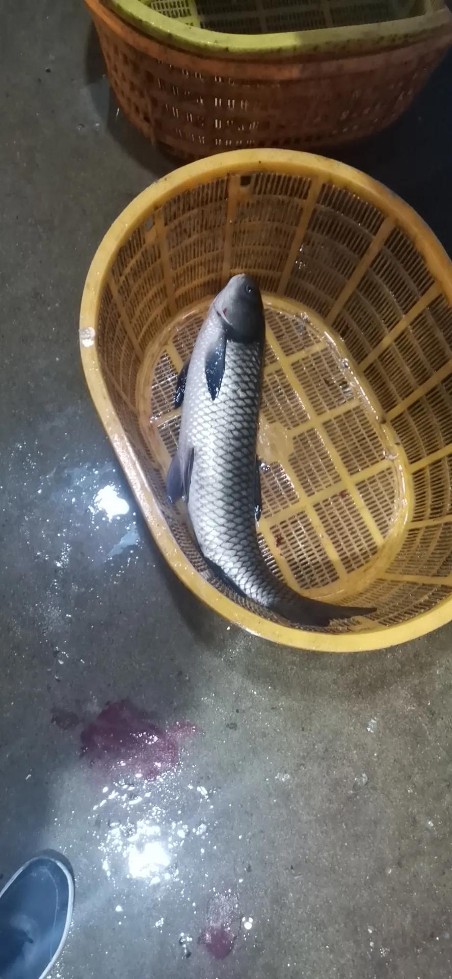 罗源县滨海新城有前景吗,罗源滨海新城区域