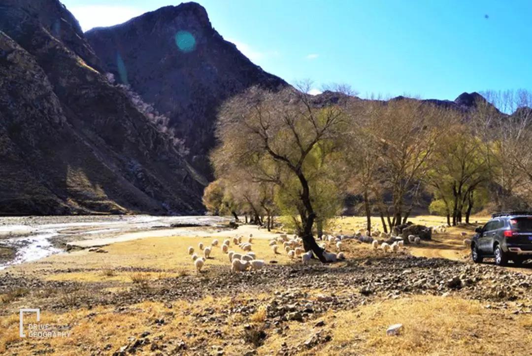 呼和浩特大青山景区自驾攻略,跑山路废胎