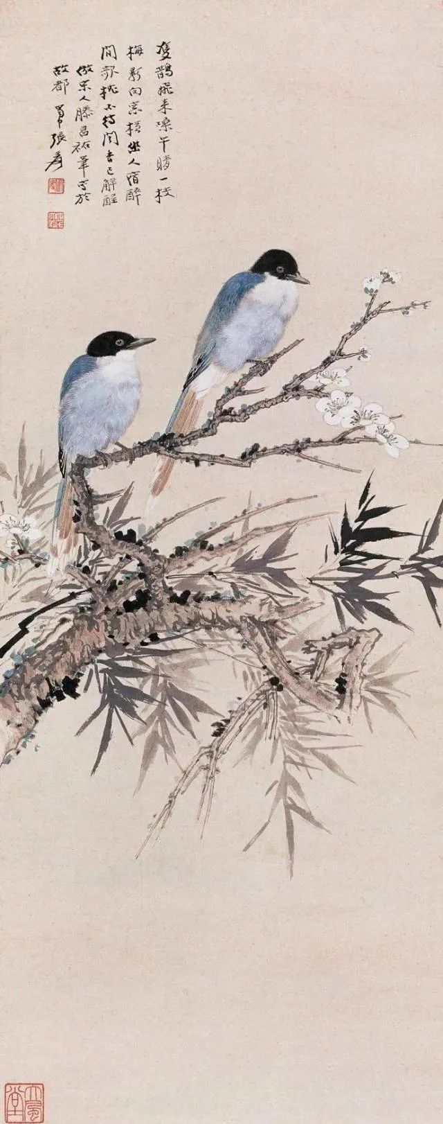 慢慢学花鸟｜这胖胖的哑嗓大黑鸟怎么成了“喜”鹊？