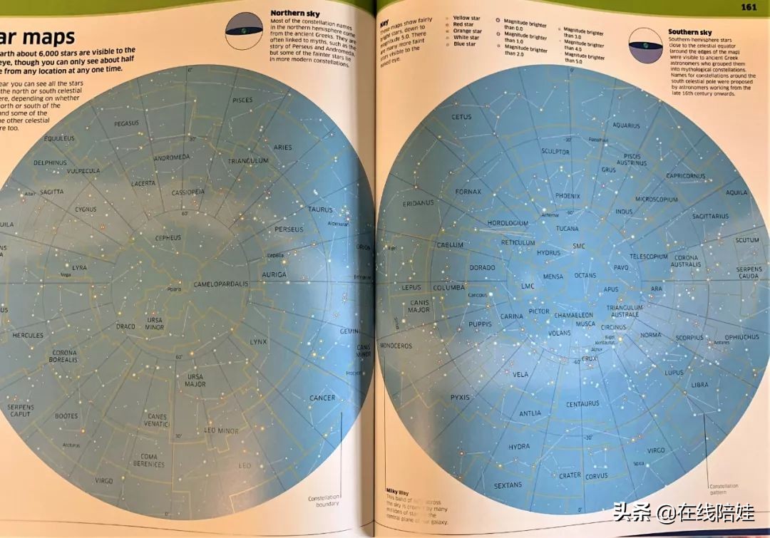 dk知识大百科全套,dk知识大百科书金银版