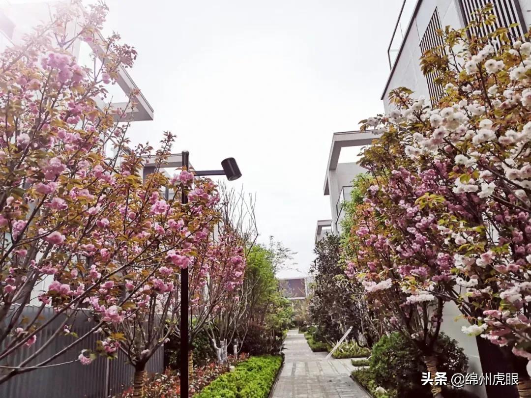 绵阳2021交房的高品质楼盘,绵阳各区域的高端楼盘