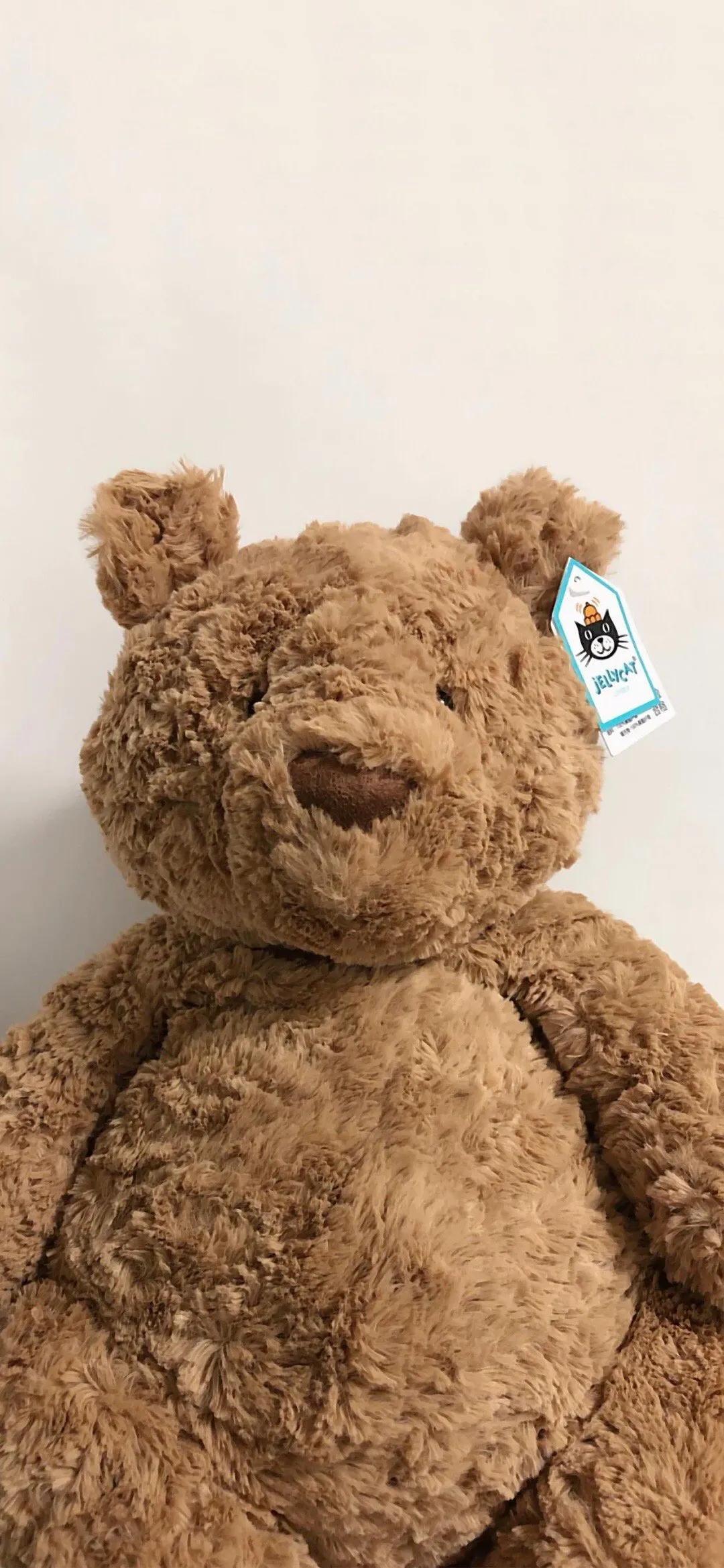 巴塞罗那熊4k壁纸,巴塞罗那熊高清手机壁纸