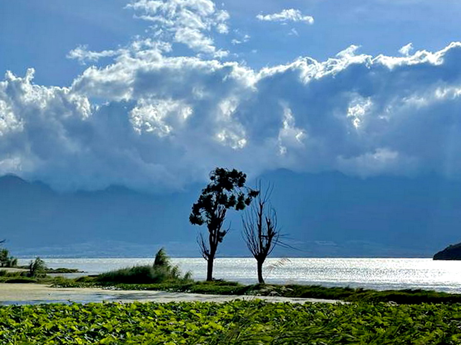 哪个滴滴车主比较赚钱,哪个城市的滴滴司机收入高