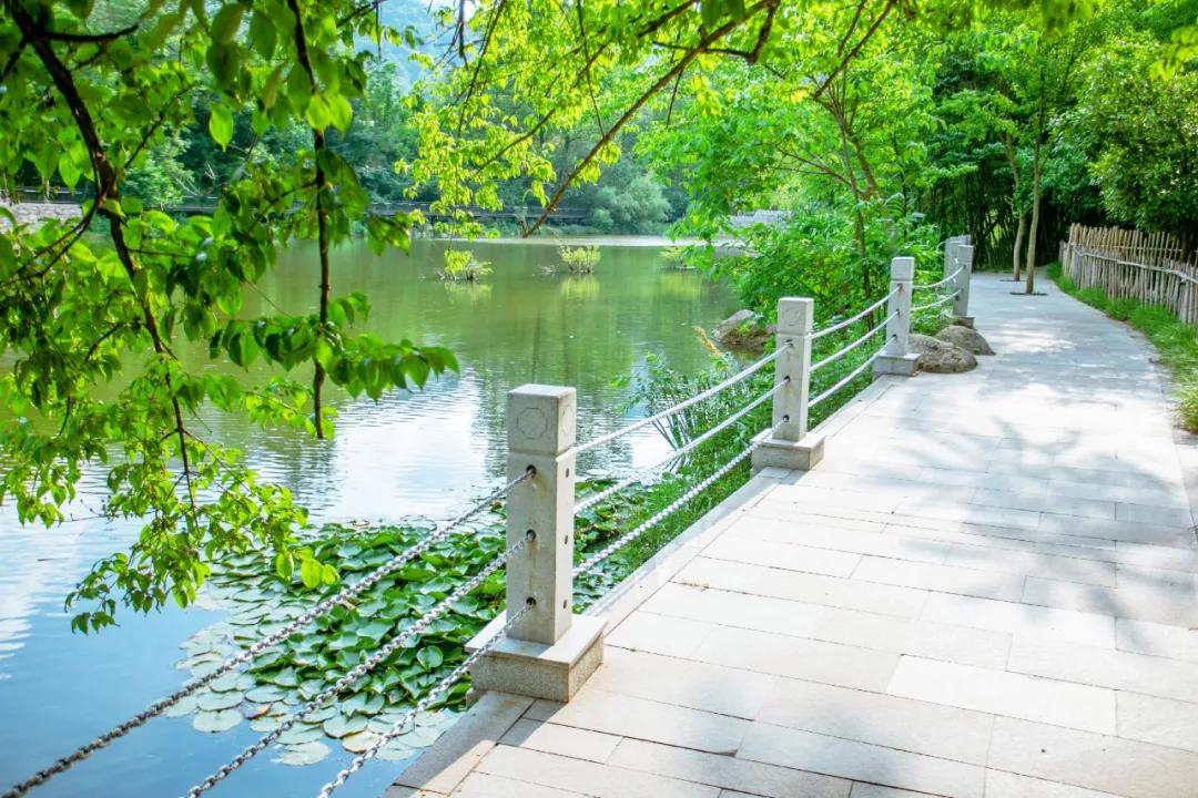 栾川湖景民宿,栾川森林氧吧民宿