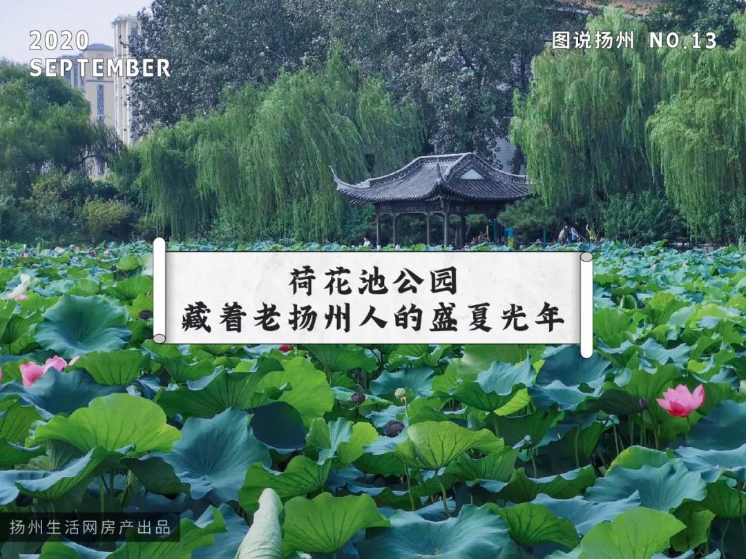 扬州的老城区有什么好玩的,老城区新增商业