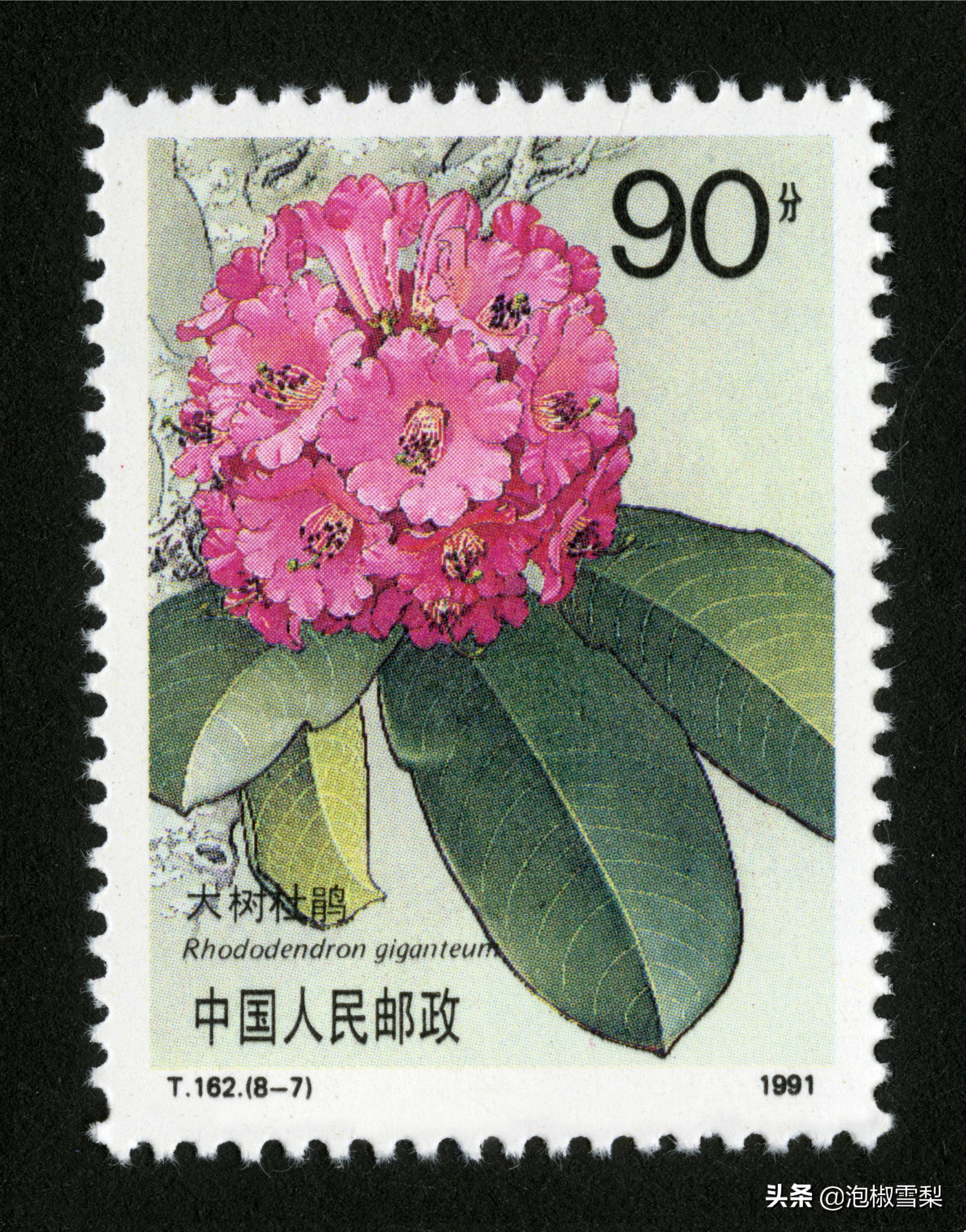 中国1991年发行的全部邮票图片｜陈胜吴广.计划生育.社会主义建设