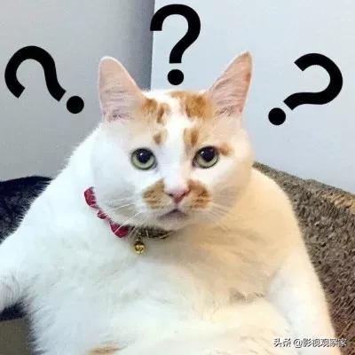 揭秘杨幂和于正的恩怨纠葛,于正有被怼过吗