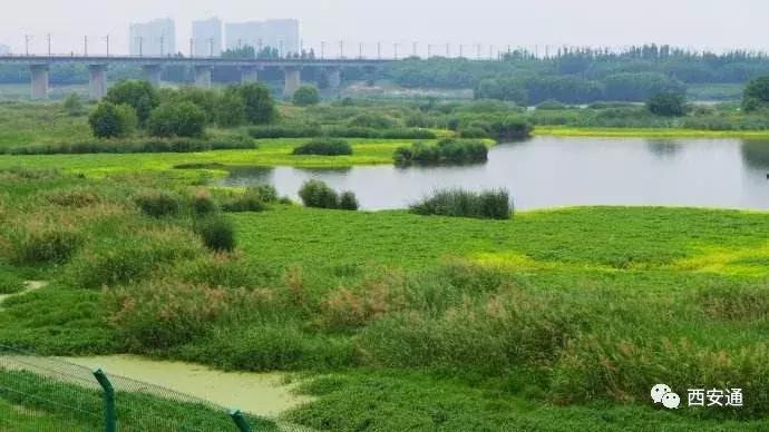 西安房子南郊还是北郊好,西安雁塔区属于南郊还是北郊