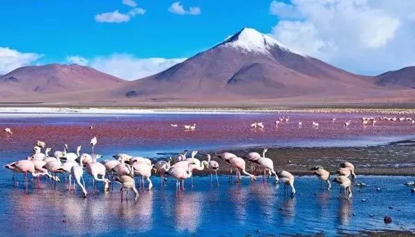 中国免签国多少个,中国出国免签国名单