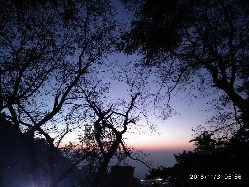 手机拍出的照片黑是怎么回事,手机拍照不清楚是啥原因呀