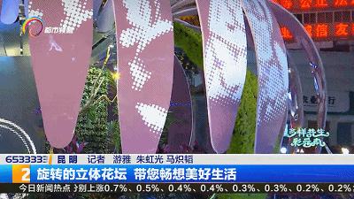 昆明100个立体花坛位置,昆明cop15立体花坛