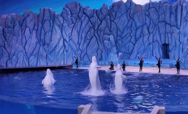 全能家轿，幸福启程！东风日产携手长隆海洋王国打造#幸福假期#