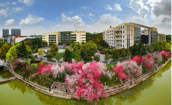 三峡大学2019招生计划,三峡大学2020各专业录取分数线