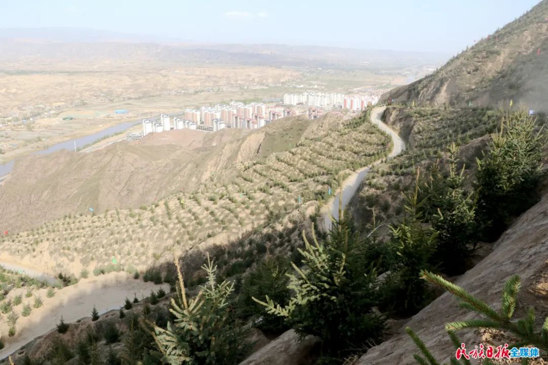 临夏州重点项目谋划情况,临夏州重点工作现场观摩推进会