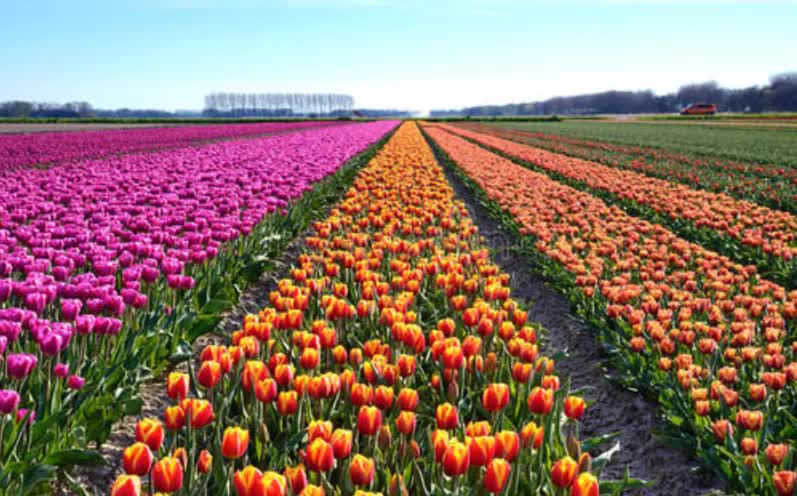 巨星传奇合集,巨星传奇有哪几个站