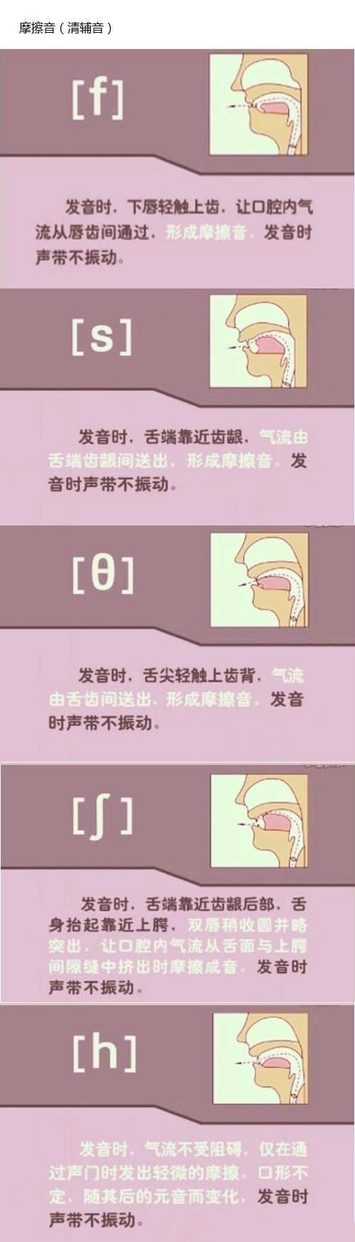 英语音标n的发音,英语音标发音图解读