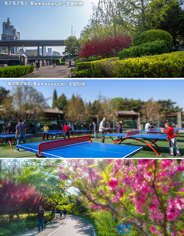 通惠庆丰公园介绍,白云区庆丰公园
