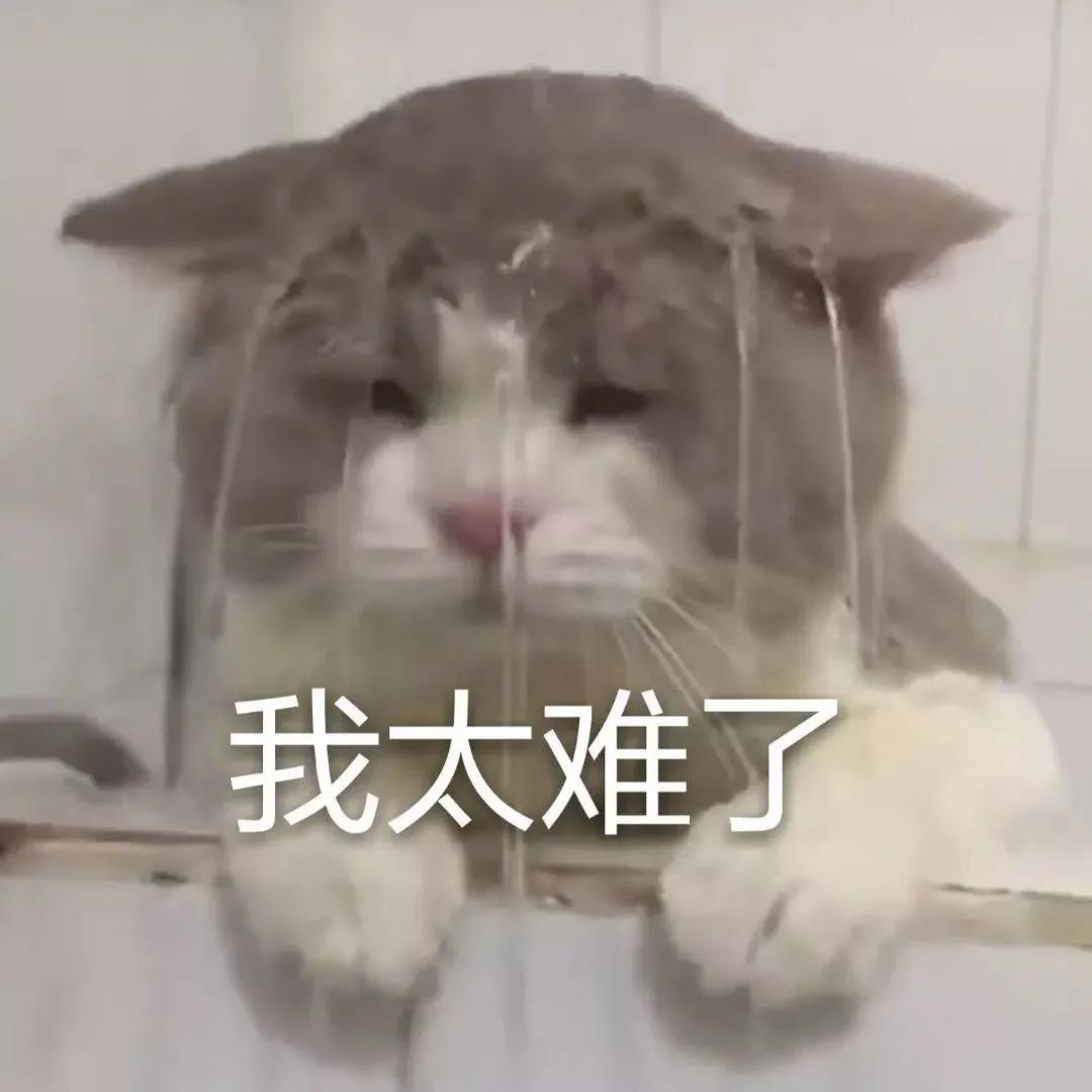 我们参加了一场深圳爸妈的“鸡娃局”