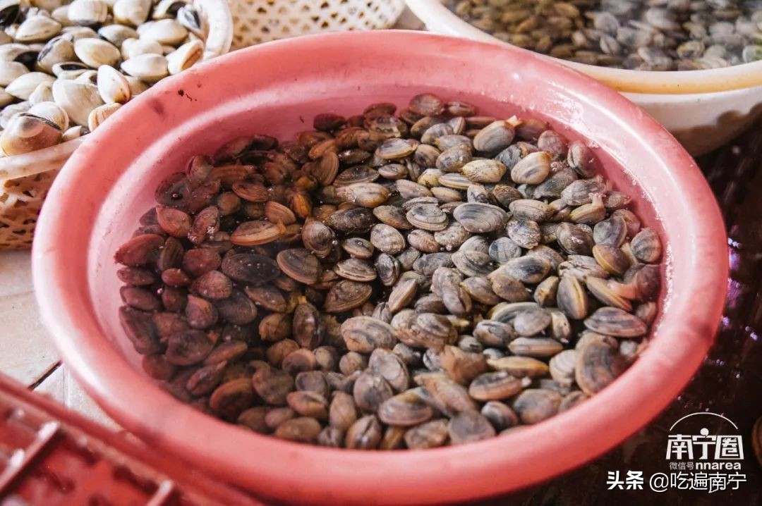 防城港旅游海鲜推荐,最好的海边旅游攻略