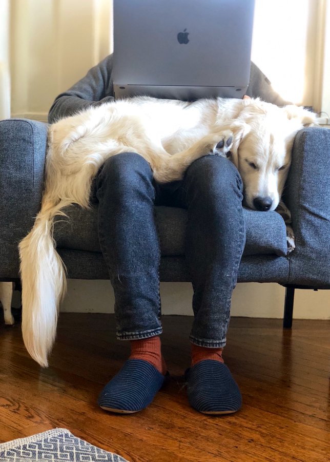 在家没法办公,在家无法居家办公的有工资吗