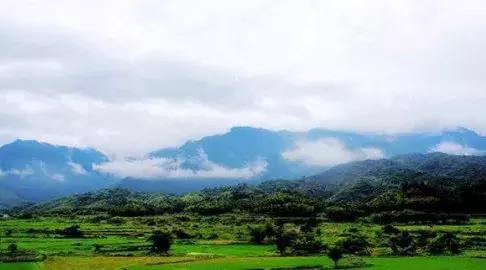 泉州到南昌西站的动车时刻表,泉州南高铁新消息