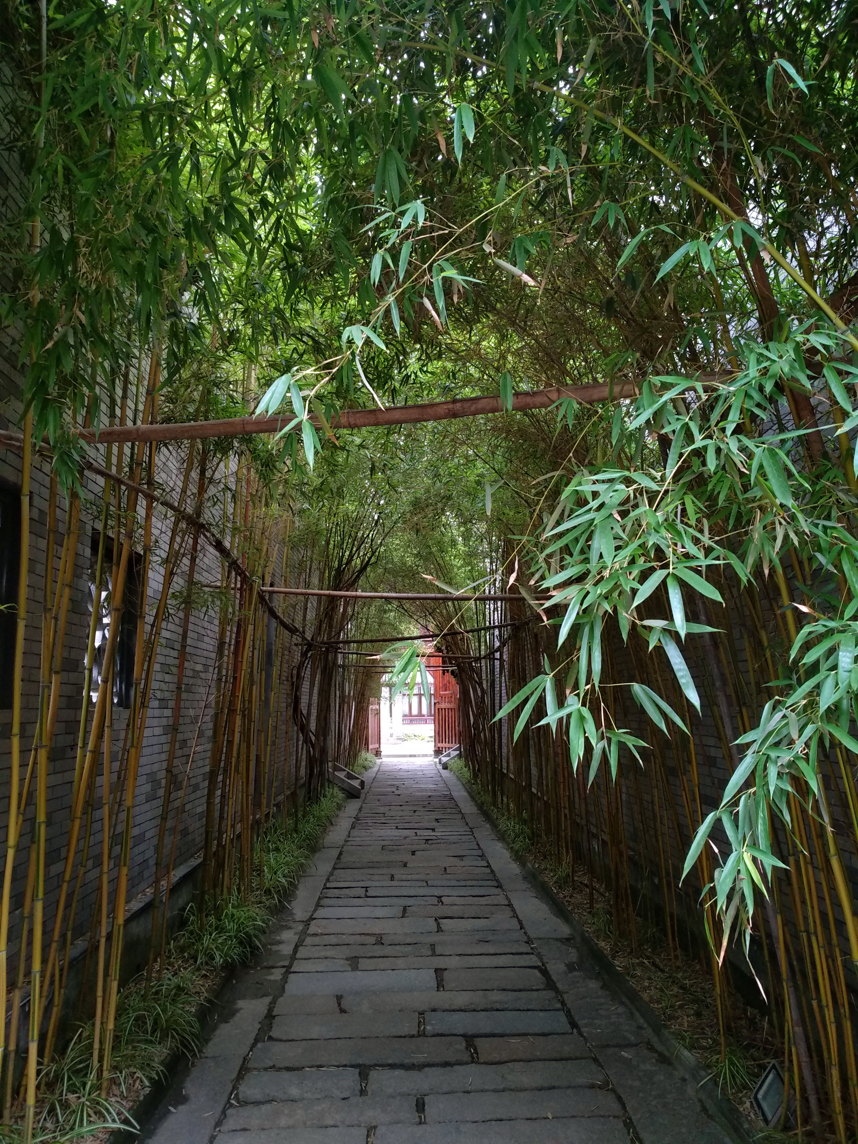 成都龙潭水乡最新消息,成都龙潭水乡别墅区