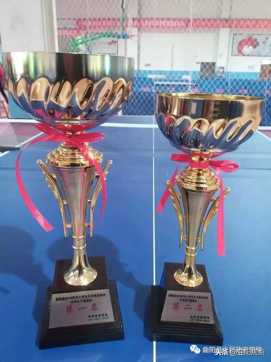 曲阳二中运动会打破纪录,曲阳县中小学生乒乓球比赛