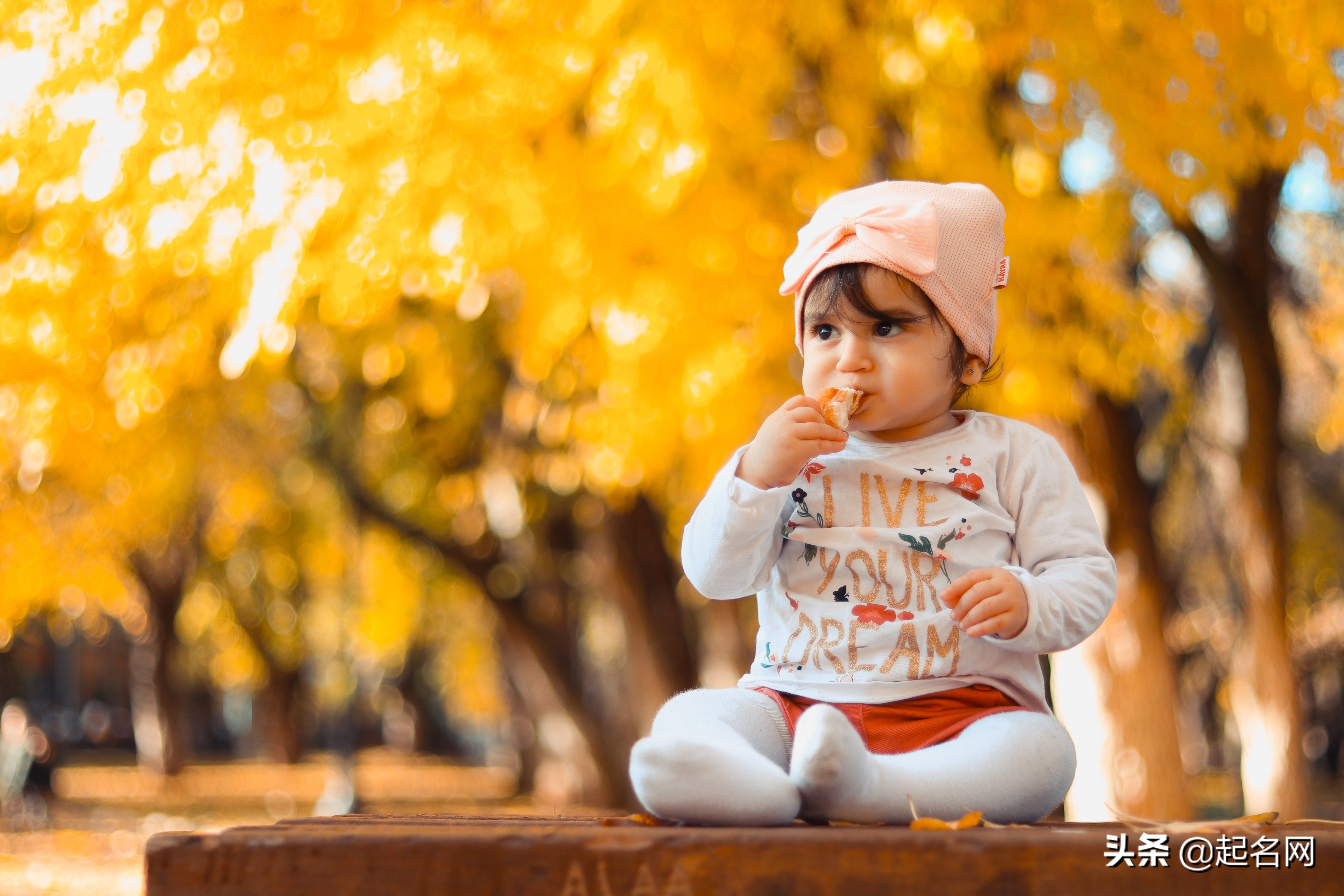 文静清秀女孩,文静清秀女生