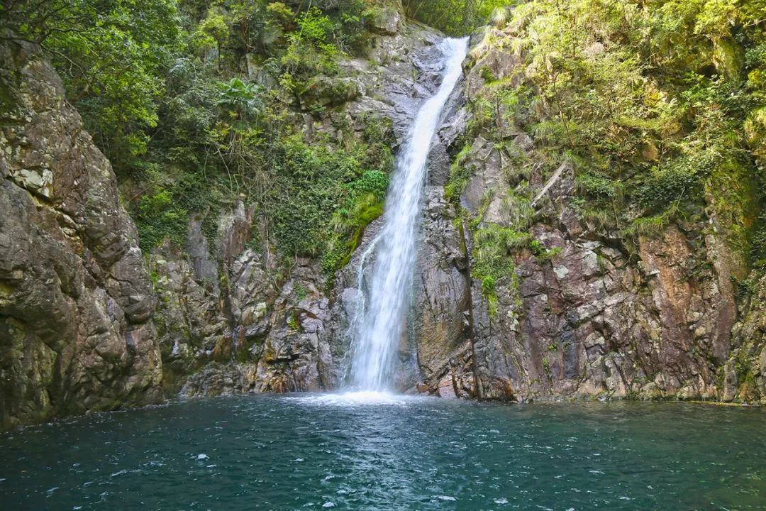 宁波避暑耍水胜地,宁波森林氧吧景区