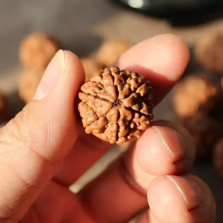 盘玩30年的金刚菩提包浆什么样子,金刚菩提子盘刷的技巧